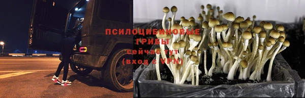 наркотики Лихославль