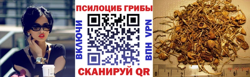 продажа наркотиков  Неман  Псилоцибиновые грибы Psilocybine cubensis 